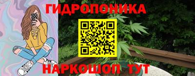 индика Аргун