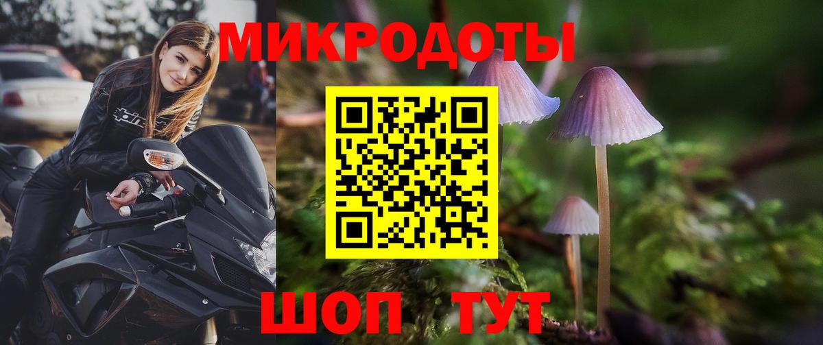 Боровичи  закладка  Вход с VPN  Галлюциногенные грибы Magic Shrooms 